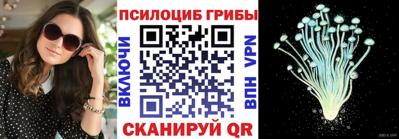 Псилоцибиновые грибы MAGIC MUSHROOMS  купить   МЕГА ССЫЛКА  Мытищи 